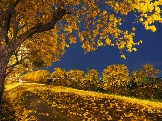 929276 (a): :2048x1536